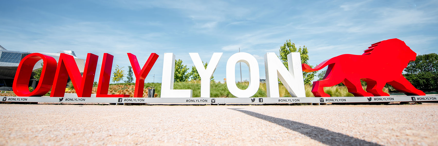 Only Lyon Large Text Sculpture